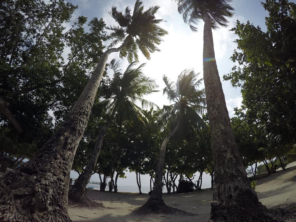 Rip Tide Vacation Inn, K.Guraidhoo Guraidhoo  Esterno foto