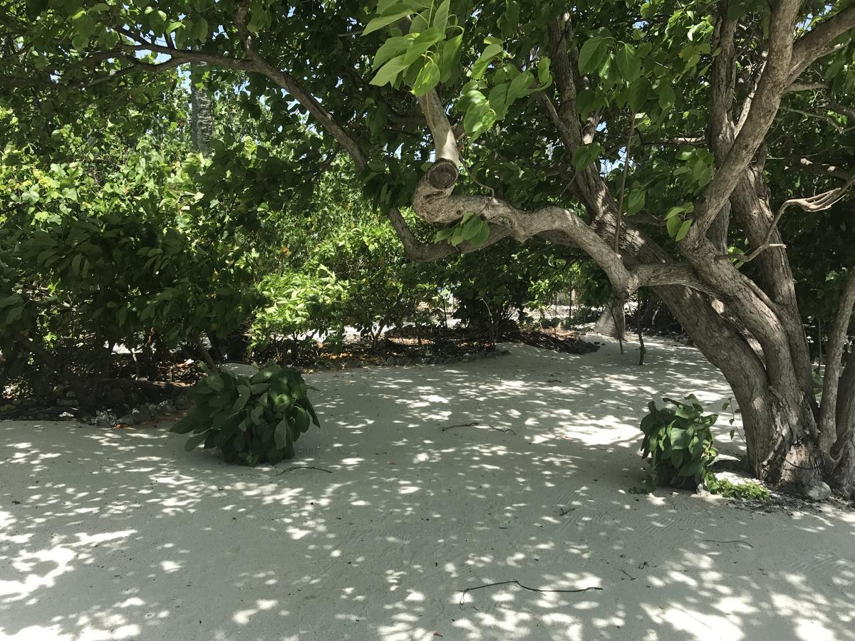Rip Tide Vacation Inn, K.Guraidhoo Guraidhoo  Esterno foto