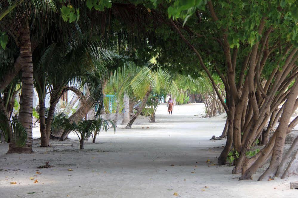 Rip Tide Vacation Inn, K.Guraidhoo Guraidhoo  Esterno foto