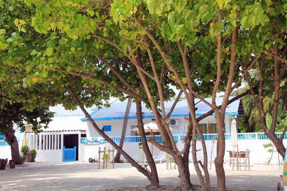 Rip Tide Vacation Inn, K.Guraidhoo Guraidhoo  Esterno foto
